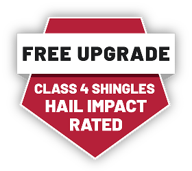 Free Upgrade